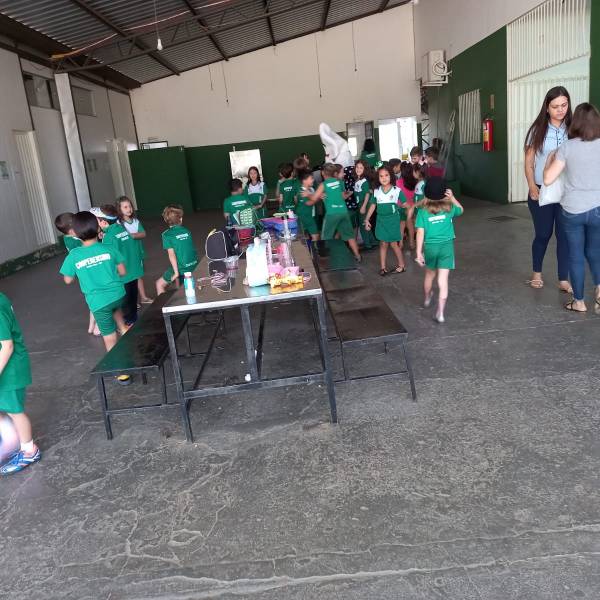 ze gotinha (32).jpeg